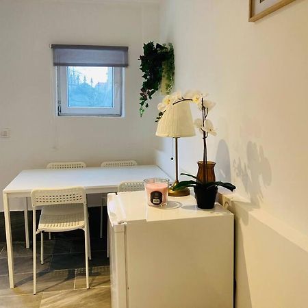 Studio House Near Paris Épinay-sur-Seine Kültér fotó